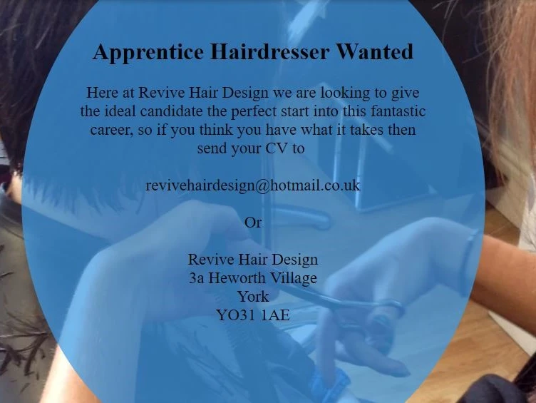 Apprentice Wanted at Revive Hair Design